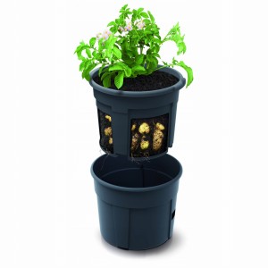 Doniczka do uprawy ziemniaków Potato Grower 12l Prosperplast